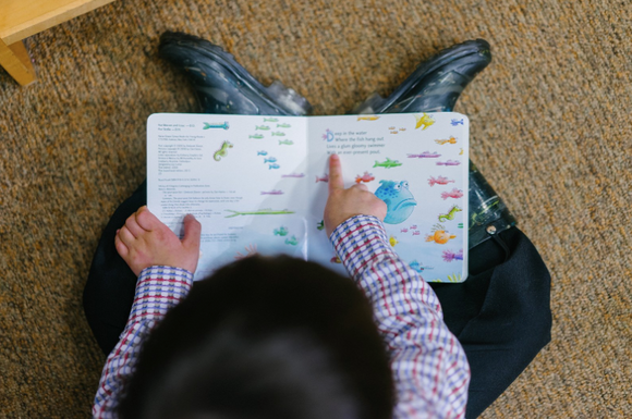 Libros de Lectura